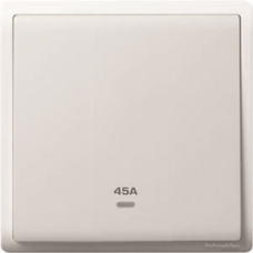 10AX 250V 4G 1W SW W FLUO LOC, WE